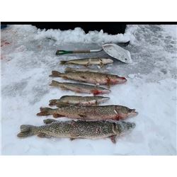North Dakota Pike Spearing/Ice Fishing for 2
