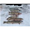 Image 1 : North Dakota Pike Spearing/Ice Fishing for 2