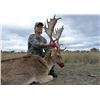 Image 4 : 5 Day Australian Adventure for Rusa Deer, Red Deer or Fallow Deer