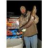 Image 5 : 4-Hour Night Trip for Stingray Bowfishing for 4