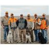 Image 4 : 2 day/3 Night Nebraska Pheasant & Partridge Hunt with Pheasant Bonanza for 2 Hunters