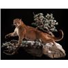 Image 2 : Life-size Taxidermy Mount Including Hardwood Base with Habitat Display