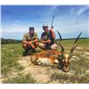 Image 2 : Capybara & Blackbuck hunt with Sudamerican Outfitters Argentina