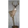 Image 1 : Pedestal Mount with Habitat for a Mule or Whitetail Deer from Natures Own Wildlife Studios