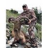Image 3 : Aoudad Hunt in Texas with Trash Rack Ranch