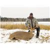 Image 7 : 4 Day 3 Night Wisconsin Whitetail Deer for 1 hunter and 1 non hunter
