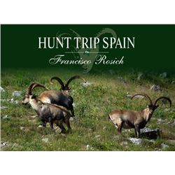 4 Day Roe Deer w/Hunt Trip Spain