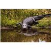 Image 2 : Florida ALLIGATOR hunt w/Central Florida Trophy Hunts
