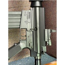 LR 308 DPMS PANTHER ARMS semi-suto