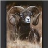 Image 3 : LIVE AUCTION ONLY--Bull Elephant or Mountain Ram Giclee