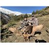 Image 4 : 2 Hunter 2 Observer 3 Day Pyrenean Chamois/ Roe Deer Spain Hunt