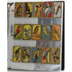 Collection of Cigarette Cards (Various, circa 1918). Of