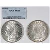 Image 1 : MORGAN SILVER DOLLARS