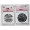 Image 1 : AMERICAN SILVER EAGLES