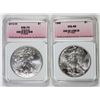Image 1 : AMERICAN SILVER EAGLES