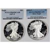 Image 1 : AMERICAN SILVER EAGLES