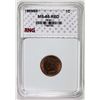 Image 3 : 1869/69 INDIAN CENT