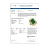 Image 4 : 11.98 ctw Certified Emerald & Diamond Victorian Ring 14K Yellow Gold - REF-267H6R