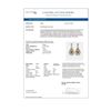 Image 4 : 21.06 ctw Canary Citrine & Diamond Earrings 18K Rose Gold - REF-444G4W