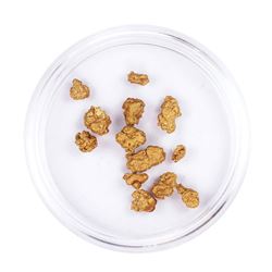 Lot of Gold Nuggets 4.07 grams Total Weight