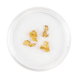 Lot of Gold Nuggets 1.68 Grams Total Weight
