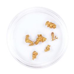 Lot of Gold Nuggets 2.74 grams Total Weight