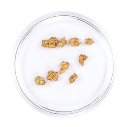 Lot of Gold Nuggets 2.02 grams Total Weight