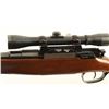 Image 3 : Steyr Mannlicher 1952 .308 Win SN: 10872