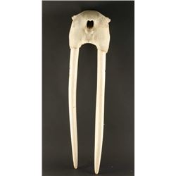 Walrus Skull and Tusks