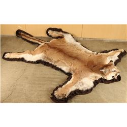 Beautiful Mountain Lion Rug