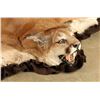 Image 2 : Beautiful Mountain Lion Rug