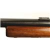 Image 5 : Winchester Pre-64 Model 70 Bull Gun 300 H&H