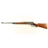Image 2 : Winchester Model 71 .348 WCF SN: 11504