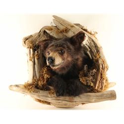Brown Bear Mount