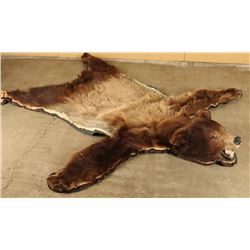 Brown Bear Rug