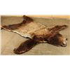 Image 1 : Brown Bear Rug