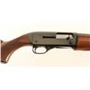 Image 5 : Winchester Super-X Model 1 12 Ga SN: M69961