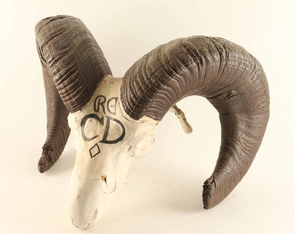 European Mount Ram