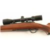 Image 3 : Ruger M77 .243 Win SN: 1905