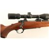 Image 4 : Ruger M77 .243 Win SN: 1905