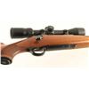 Image 5 : Ruger M77 .243 Win SN: 1905