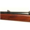 Image 4 : Winchester Model 70 .30-06 SN: 367478