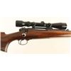 Image 4 : Winchester Model 70 300 Win SN: 307243