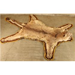 Mountain Lion Rug
