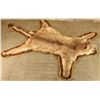 Image 1 : Mountain Lion Rug