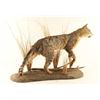 Image 3 : Wild African Game Cat