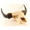 Image 1 : Buffalo Skull and Horns