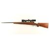 Image 2 : Winchester Model 70 7x57mm SN: G1576331