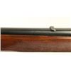 Image 3 : Winchester Model 75 .22 LR SN: 80690