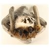 Image 1 : Badger Shoulder Mount
